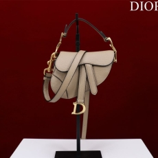 Dior Saddle Bags